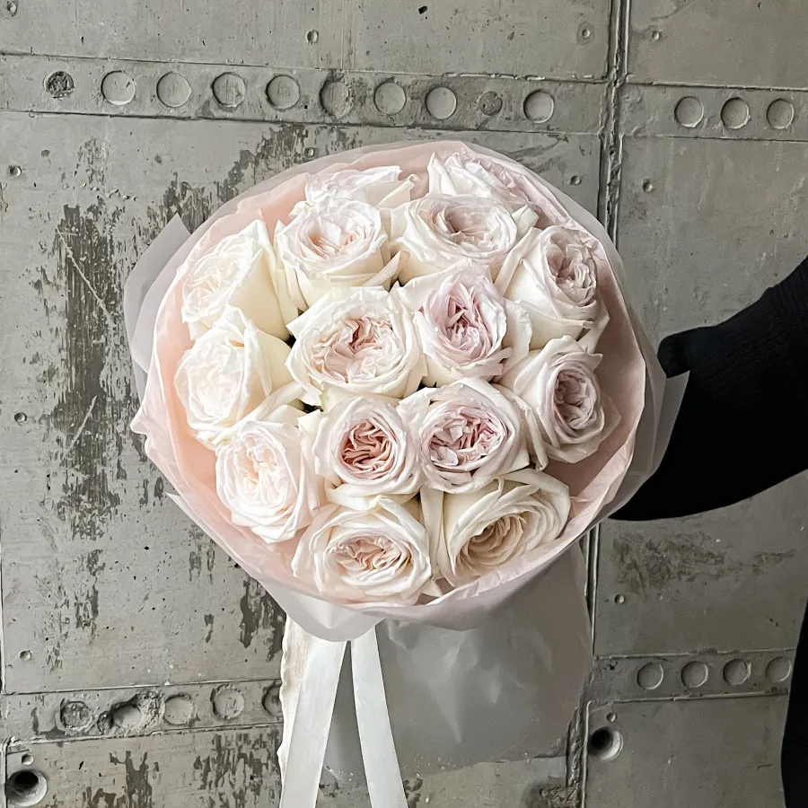 Монобукет "Вайт Охара 15" №497