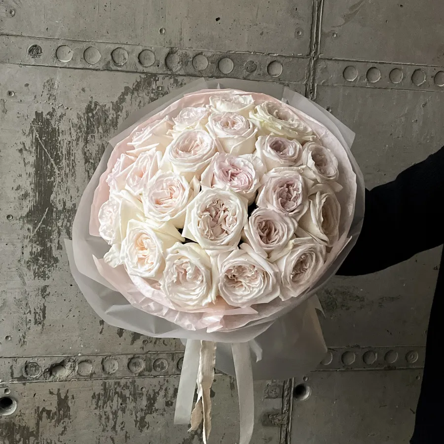 Монобукет пионовидных роз Вайт Охара 21 №490