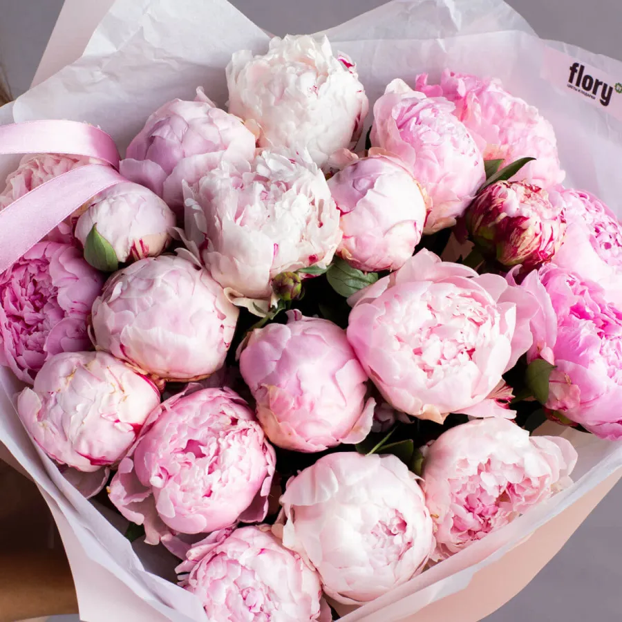 Монобукет из 20 розовых пионов №164