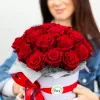 Шляпная коробка из 25 красных роз (Эквадор)  №857