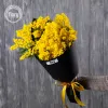 Букет "Мимоза" №116