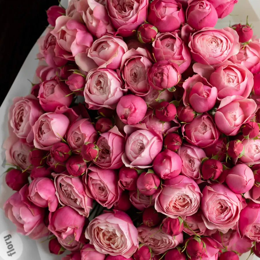 Монобукет пионовидных роз Сильвия Пинк №404