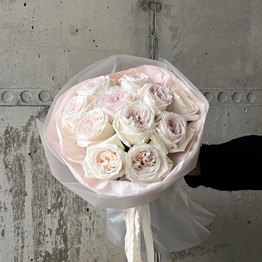 Монобукет "Вайт Охара 15" №497