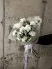 Монобукет белоснежных диантусов №488
