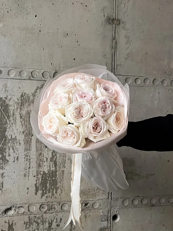 Монобукет "Вайт Охара 15" №497