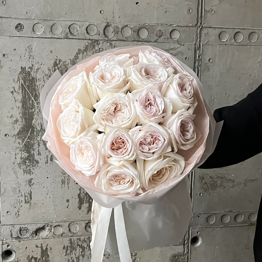 Монобукет "Вайт Охара 15" №497