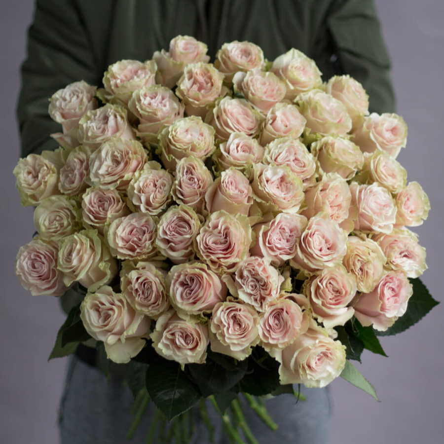 Букет из 51 розовой розы Пинк Мондиаль №229