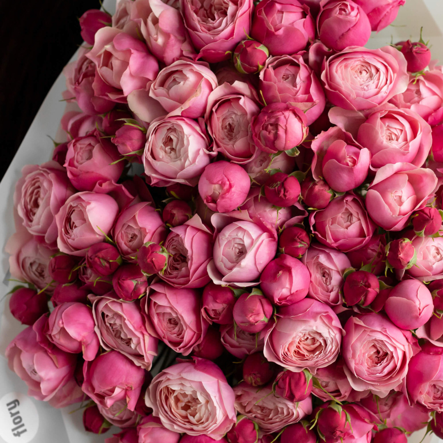 Монобукет пионовидных роз Сильвия Пинк №404 Монобукет пионовидных роз Сильвия Пинк №404