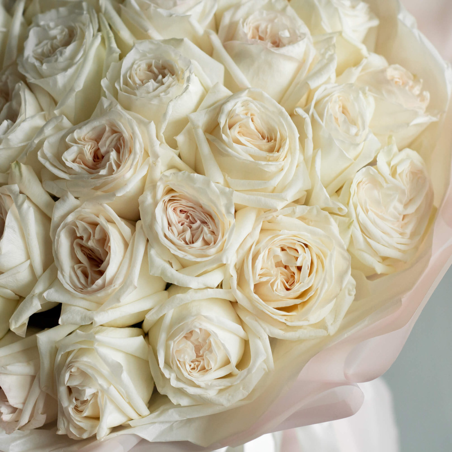 Монобукет пионовидных рох Вайт Охара 25 №402